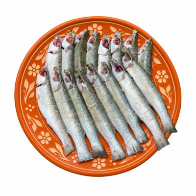 বাটা মাছ